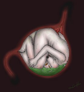 Rating: Questionable Score: 0 Tags: anthro arctic_fox bodily_fluids canid canine curled_up e621 extreme_size_difference forceswerwolf fox inside_stomach internal male mammal organs size_difference skunkhase soft_vore solo stomach stomach_acid swiftayama true_fox unseen_pred vore User: bunchy7s Rating: Questionable Score: 0 Tags: anthro arctic_fox bodily_fluids canid canine curled_up e621 extreme_size_difference forceswerwolf fox inside_stomach internal male mammal organs size_difference skunkhase soft_vore solo stomach stomach_acid swiftayama true_fox unseen_pred vore User: bunchy7s