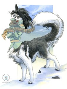 Rating: Safe Score: 0 Tags: 2008 black_body black_fur black_hair black_nose bottomless canid canine canis clothed clothing cloud coat day detailed_background domestic_dog e621 fangs female fur hair husky kacey long_hair mammal nordic_sled_dog open_mouth outside scarf self_hug siberian_husky sky snow solo spitz standing tail taur teeth topwear white_body white_fur wind winter User: bunchy7s Rating: Safe Score: 0 Tags: 2008 black_body black_fur black_hair black_nose bottomless canid canine canis clothed clothing cloud coat day detailed_background domestic_dog e621 fangs female fur hair husky kacey long_hair mammal nordic_sled_dog open_mouth outside scarf self_hug siberian_husky sky snow solo spitz standing tail taur teeth topwear white_body white_fur wind winter User: bunchy7s