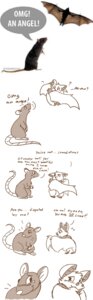 Rating: Safe Score: 0 Tags: ambiguous_gender bat bat_wings blush brown_body brown_fur comic dialogue dream-of-serenity duo e621 english_text feral fur hi_res mammal membrane_(anatomy) membranous_wings meme murid murine rat rodent text third-party_edit wings User: bunchy7s