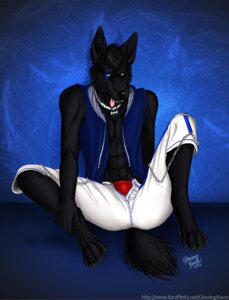 Rating: Questionable Score: 0 Tags: abs anthro biped bondage_pants bottomwear bulge butt canid canine canis clothing collar digitigrade e621 glowingraver male mammal nightfang pants sitting solo studded_collar studs tail tongue white_studded_collar wolf User: bunchy7s