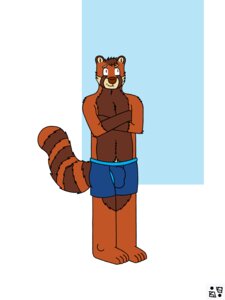Rating: Questionable Score: 0 Tags: 2013 3:4 4_toes ailurid anthro biped brown_body brown_fur bulge clothed clothing crossed_arms e621 feet fur grin hi_res male mammal mrfancyfox orange_body orange_fur red_panda simple_background smile solo standing toes topless underwear User: bunchy7s
