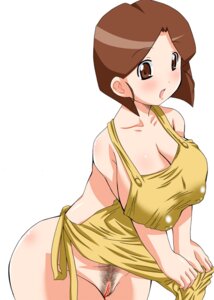 Rating: Explicit Score: 0 Tags: apron bare_shoulders blush breasts brown_eyes brown_hair cleavage curvy erect_nipples female green_hair happy hips housewife large_breasts looking_at_viewer medabots medarot milf naked_apron nipples open_mouth pubic_hair puffy_nipples pussy rule34 short_hair sideboob solo tenryou_chidori vagina wide_hips User: bunchy7s