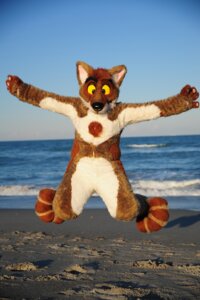 Rating: Safe Score: 0 Tags: anthro beach biped canid canine chest_tuft clothing costume detailed_background e621 fur fursuit grandfathered_content jumping latinvixen looking_at_viewer male mammal outside photo real sand sea seaside sky solo tuft water yellow_eyes User: bunchy7s Rating: Safe Score: 0 Tags: anthro beach biped canid canine chest_tuft clothing costume detailed_background e621 fur fursuit grandfathered_content jumping latinvixen looking_at_viewer male mammal outside photo real sand sea seaside sky solo tuft water yellow_eyes User: bunchy7s