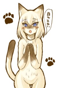 Rating: Safe Score: 0 Tags: anthro blue_eyes blush dialogue dipstick_ears dipstick_tail domestic_cat e621 ear_markings fangs felid feline felis female footprint front_view fur gloves_(marking) hair hands_together japanese_text kemono looking_at_viewer mammal markings multicolored_ears multicolored_tail open_mouth pawprint pupils raised_tail shinobe short_hair siamese_cat simple_background slit_pupils solo tail tail_markings talking_to_viewer teeth text translated white_background white_body white_fur white_hair wide_hips User: bunchy7s