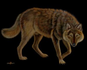 Rating: Explicit Score: 0 Tags: 5:4 anatomically_correct anatomically_correct_genitalia animal_genitalia animal_penis barely_visible_genitalia barely_visible_penis barely_visible_sheath black_background black_body black_fur brown_body brown_fur canid canine canine_genitalia canine_penis canis claws digital_media_(artwork) digitigrade e621 ebon_lupus feral fully_sheathed fur genitals inner_ear_fluff looking_at_viewer male mammal northwestern_wolf nude penis penis_tip quadruped sheath simple_background solo tail tuft wolf yellow_eyes User: bunchy7s