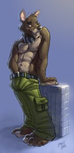 Rating: Explicit Score: 0 Tags: anthro biped canid canine clothed clothing collar e621 ear_piercing looking_at_viewer male mammal piercing solidasp solo standing topless User: bunchy7s