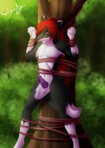 Rating: Explicit Score: 0 Tags: anthro arctic_fox bdsm bondage bound canid canine cloudy_kitty e621 erection fox genitals male mammal outside penis plant public public_erection slitzerikai solo submissive submissive_male tail tree tree_bondage true_fox User: bunchy7s