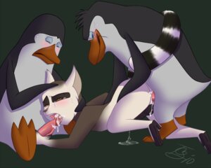 Rating: Explicit Score: 0 Tags: 5:4 adelie_penguin anal anal_penetration anthro avian bird bodily_fluids brush-tailed_penguin cum cum_in_ass cum_in_mouth cum_inside cum_on_face cum_while_penetrated dreamworks e621 erection feet fellatio genital_fluids genitals group group_sex interspecies king_julien kowalski_(madagascar) lemur licking madagascar_(series) male male/male male_penetrated male_penetrating male_penetrating_male mammal oral penetration penguin penile penis penis_lick prehensile_feet primate rico_(madagascar) ring-tailed_lemur scar sex spitroast strepsirrhine tail the_penguins_of_madagascar threesome toes tongue tongue_out trio tsuyagami User: bunchy7s