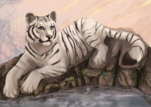 Rating: Safe Score: 0 Tags: 2011 ambiguous_gender blue_eyes day detailed detailed_background digital_media_(artwork) digital_painting_(artwork) e621 felid feral flashw fur grass leucistic looking_away lying mammal outside painting_(artwork) pantherine pink_nose plant quadruped realistic rock sky solo stripes tail tiger water white_body white_fur User: bunchy7s