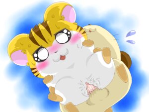 Rating: Explicit Score: 0 Tags: 1boy 1girls artist_request female feral hamster hamtaro_(series) male maxwell_(hamtaro) penis pussy rodent rule34 sandy_(hamtaro) sex tagme User: bunchy7s Rating: Explicit Score: 0 Tags: 1boy 1girls artist_request female feral hamster hamtaro_(series) male maxwell_(hamtaro) penis pussy rodent rule34 sandy_(hamtaro) sex tagme User: bunchy7s