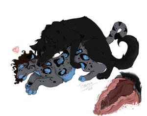 Rating: Explicit Score: 0 Tags: black_wolf canine clouded_leopard cum cumshot feline female feral inside interspecies knot knotting leopard orgasm rule34 spots tied tsareia wolf User: bunchy7s