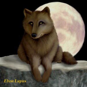 Rating: Safe Score: 0 Tags: 1:1 canid canine canis e621 ebon_lupus feral looking_at_viewer male mammal moon solo supermoon tail wolf User: bunchy7s Rating: Safe Score: 0 Tags: 1:1 canid canine canis e621 ebon_lupus feral looking_at_viewer male mammal moon solo supermoon tail wolf User: bunchy7s