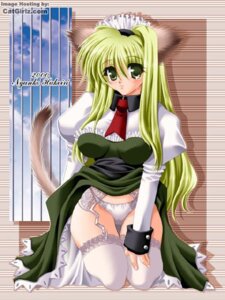 Rating: Questionable Score: 0 Tags: 2000 3:4 accessory animal_humanoid big_eyes blonde_hair bodily_fluids cat_humanoid clothed clothing clothing_lift dipstick_tail dress dress_lift e621 felid felid_humanoid feline feline_humanoid female front_view fur green_eyes hair humanoid humanoid_hands kneeling long_hair looking_at_viewer mammal mammal_humanoid markings multicolored_tail necktie nyanko_hakoiri panties raised_tail solo tail tail_markings tan_body tan_fur tears underwear User: bunchy7s