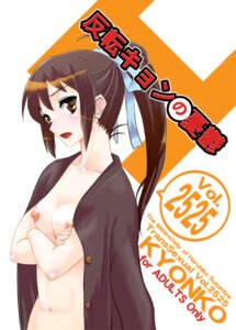 Rating: Explicit Score: 0 Tags: banaga breasts clothing female kyon kyonko rule34 rule_63 small_breasts suzumiya_haruhi_no_yuuutsu tagme User: bunchy7s