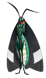 Rating: Safe Score: 0 Tags: ambiguous_gender antennae_(anatomy) arthropod arthropod_abdomen daisuke e621 hi_res insect insect_wings lepidopteran moth multi_limb solo wings User: bunchy7s