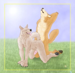 Rating: Explicit Score: 0 Tags: 2007 all_fours anal anal_penetration anthro brown_body brown_fur canid canine canis claws doggystyle duo e621 erection eyes_closed from_behind_position fur genitals grey_body grey_fur half-erect humanoid_genitalia humanoid_penis male male/male male_penetrated male_penetrating male_penetrating_male mammal nude open_mouth penetration penis sex tail tongue tongue_out trannywolf wolf User: bunchy7s