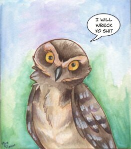 Rating: Safe Score: 0 Tags: 2012 ambiguous_gender athene_(genus) avian beak bird burrowing_owl dialogue e621 english_text feral looking_at_viewer owl pmoss reaction_image solo text true_owl yellow_eyes User: bunchy7s