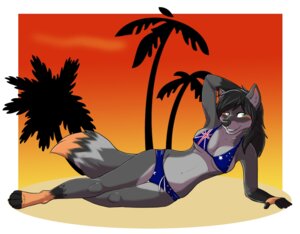 Rating: Safe Score: 0 Tags: 2014 anthro beach breasts canid canine canis cloud e621 fcsimba female green_eyes hair mammal outside palm_tree plant seaside sky solo summer sunbathing sunset tree wolf User: bunchy7s