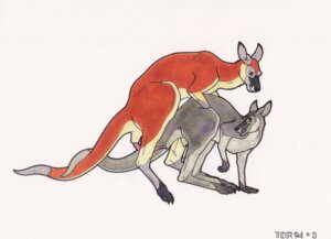 Rating: Explicit Score: 0 Tags: 1994 all_fours anatomically_correct anatomically_correct_genitalia animal_genitalia animal_penis bent_over bodily_fluids cloaca cum doggystyle duo e621 entwined_tails erection feet female feral feral_on_feral from_behind_position fur genital_fluids genitals kangaroo macropod male male/female mammal marker_(artwork) marsupial marsupial_penis nude penis prehensile_penis red_kangaroo sex tail tail_coil tapering_penis thin_penis tim_o'rourke traditional_media_(artwork) User: bunchy7s