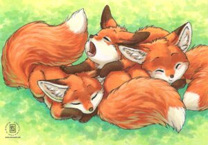 Rating: Safe Score: 0 Tags: 2010 ambiguous_gender blush canid canine digitigrade dipstick_tail e621 eyes_closed feral fox group kacey mammal markings open_mouth sleeping tail tail_markings tongue yawn young young_feral User: bunchy7s Rating: Safe Score: 0 Tags: 2010 ambiguous_gender blush canid canine digitigrade dipstick_tail e621 eyes_closed feral fox group kacey mammal markings open_mouth sleeping tail tail_markings tongue yawn young young_feral User: bunchy7s