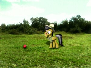 Rating: Safe Score: 0 Tags: 2013 4:3 ambits armor black_hair clothing daring_do_(mlp) e621 equid equine female feral friendship_is_magic gem grass grey_hair hair hasbro hat headgear headwear helmet hi_res horse mammal mixed_media multicolored_hair my_little_pony outside photo_background photography_(artwork) pith_helmet plant pony purple_eyes quadruped real ruby_(gem) shrub smile solo sparkdraws tail toony User: bunchy7s Rating: Safe Score: 0 Tags: 2013 4:3 ambits armor black_hair clothing daring_do_(mlp) e621 equid equine female feral friendship_is_magic gem grass grey_hair hair hasbro hat headgear headwear helmet hi_res horse mammal mixed_media multicolored_hair my_little_pony outside photo_background photography_(artwork) pith_helmet plant pony purple_eyes quadruped real ruby_(gem) shrub smile solo sparkdraws tail toony User: bunchy7s