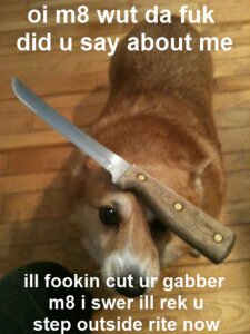 Rating: Safe Score: 0 Tags: ambiguous_gender canid canine canis domestic_dog e621 english_text feral grandfathered_content herding_dog humor knife looking_at_viewer looking_up mammal pastoral_dog reaction_image real solo text threatening threatening_with_weapon unknown_artist welsh_corgi User: bunchy7s Rating: Safe Score: 0 Tags: ambiguous_gender canid canine canis domestic_dog e621 english_text feral grandfathered_content herding_dog humor knife looking_at_viewer looking_up mammal pastoral_dog reaction_image real solo text threatening threatening_with_weapon unknown_artist welsh_corgi User: bunchy7s