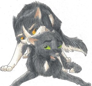 Rating: Explicit Score: 0 Tags: 2011 2boys barley_(warriors) black_and_white_body black_and_white_fur black_body black_fur cat domestic_cat felid feline felis feral feral_on_feral feral_only feral_penetrated feral_penetrating feral_penetrating_feral gay gay_domination gay_sex green_eyes looking_at_partner looking_back male male/male male_only male_penetrated male_penetrating male_penetrating_male markings multicolored_body multicolored_fur open_mouth pink_nose ravenpaw_(warriors) rule34 simple_background tagme two-tone_body two-tone_fur unseen_penetration warriors_(book_series) warriors_(cats) white_background white_markings yaoi yellow_eyes User: bunchy7s