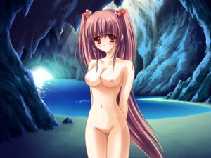 Rating: Questionable Score: 0 Tags: airi_(quilt) angry arms_behind arms_behind_back blush breasts carnelian female game_cg long_hair nude purple_hair pussy quilt quilt_(game) red_eyes rule34 solo standing thigh_gap thighs tied_hair twintails two_side_up uncensored very_long_hair water User: bunchy7s
