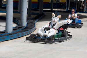 Rating: Safe Score: 0 Tags: anthro blue_eyes cake canid canine canis clothing costume dessert domestic_dog duo e621 food fursuit gesture grandfathered_content kart lol_comments looking_at_viewer male mammal outside real tongue unknown_artist vehicle waving User: bunchy7s
