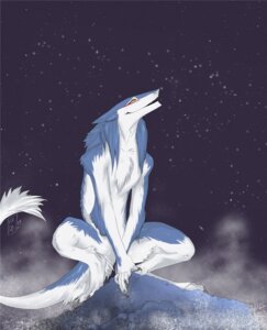 Rating: Safe Score: 0 Tags: anthro blood_warpaint blue_body blue_fur casual_nudity e621 fur hi_res male mammal markus_(dowantanaccount) nude outdoor_nudity outside sergal smile snow solo tail vagabondbastard User: bunchy7s
