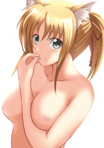 Rating: Explicit Score: 0 Tags: animal_ear artist_request azumaya_hironaru blonde_hair breasts dog_days female large_breasts nipples pointy_chin rule34 smile yukikaze_panettone User: bunchy7s