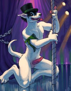 Rating: Explicit Score: 0 Tags: 2012 4_toes 5_fingers anthro bald_crotch balls bull_terrier canid canine canis clothing dancing domestic_dog e621 erection eye_spots feet fingers fur genitals handpads hat headgear headwear holding_fixture hunting_dog knot male mammal nude oce peable penis pole pole_dancing solo tail terrier toes tongue tongue_out top_hat white_body white_fur User: bunchy7s Rating: Explicit Score: 0 Tags: 2012 4_toes 5_fingers anthro bald_crotch balls bull_terrier canid canine canis clothing dancing domestic_dog e621 erection eye_spots feet fingers fur genitals handpads hat headgear headwear holding_fixture hunting_dog knot male mammal nude oce peable penis pole pole_dancing solo tail terrier toes tongue tongue_out top_hat white_body white_fur User: bunchy7s