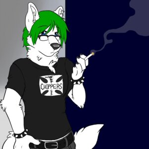 Rating: Safe Score: 0 Tags: 1:1 2013 5_fingers anthro artofmander belt black_nose blue_eyes bracelet canid canine canis cigarette claws clothed clothing e621 ear_piercing eyewear fingers fully_clothed fur glasses green_hair hair half-length_portrait holding_object jewelry looking_at_viewer male mammal piercing portrait shirt short_hair smoke smoking sniff_heinkel solo spiked_bracelet spikes t-shirt topwear white_body white_fur wolf User: bunchy7s