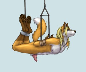 Rating: Explicit Score: 0 Tags: 2012 6:5 anthro balls bdsm bondage bound canid canine catwolf dipstick_tail e621 erection eyewear fox genitals glasses hands_behind_back jewelry knot male mammal markings necklace nude penis solo submissive submissive_male suspension tail tail_markings User: bunchy7s Rating: Explicit Score: 0 Tags: 2012 6:5 anthro balls bdsm bondage bound canid canine catwolf dipstick_tail e621 erection eyewear fox genitals glasses hands_behind_back jewelry knot male mammal markings necklace nude penis solo submissive submissive_male suspension tail tail_markings User: bunchy7s