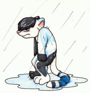 Rating: Safe Score: 0 Tags: 2009 anthro chibi domestic_cat e621 felid feline felis looking_at_viewer male mammal outside raining simple_background solo tail wet white_background xk2x zander_oro User: bunchy7s