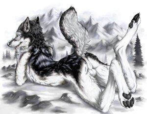 Rating: Explicit Score: 0 Tags: anthro anus backsack balls butt canid canine canis e621 fur genitals greyscale looking_at_viewer looking_back lying male mammal monochrome mountain nude on_front outside perineum plant raised_tail snow solo tail tree truegrave9 wolf User: bunchy7s