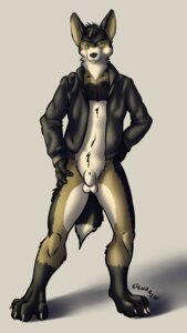 Rating: Explicit Score: 0 Tags: 9:16 animal_genitalia anthro balls black_nose bottomless canid canine canis claws clothed clothing digitigrade dipstick_tail domestic_dog e621 efenrai fully_sheathed fur genitals green_eyes hi_res jacket leg_markings looking_at_viewer male mammal markings multicolored_body multicolored_fur sheath simple_background socks_(marking) solo tail tail_markings topwear User: bunchy7s