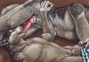 Rating: Explicit Score: 0 Tags: 2009 69_position animal_genitalia animal_penis anthro anthro_on_anthro bad_puppy_boxers balls blotch bodily_fluids boxers_(clothing) canid canine canine_genitalia canine_penis canis clothing detached_sheath domestic_dog duo e621 english_text erection eurasian_wolf faceless_character faceless_male fellatio fur genital_fluids genitals half-erect husky knot male male/male male_penetrated male_penetrating male_penetrating_male mammal nordic_sled_dog nude oral oral_penetration penetration penile penis penis_tip precum scratches_volume_3 sex sheath spitz text text_on_clothing text_on_underwear tongue traditional_media_(artwork) underwear wolf User: bunchy7s