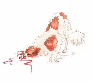 Rating: Safe Score: 0 Tags: ambiguous_gender blue_eyes borzoi bound canid canine canis domestic_dog e621 feral gag gagged hunting_dog long_snout looking_at_viewer male mammal ribbons sighthound simple_background snout solo submissive submissive_male tail white_background zanty User: bunchy7s