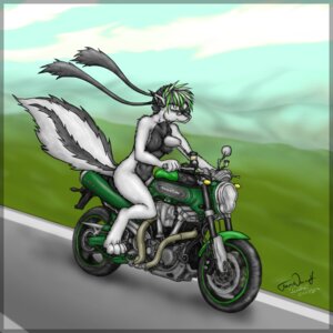 Rating: Questionable Score: 0 Tags: 1:1 2008 anthro countershading e621 female forceswerwolf mammal mephitid motorcycle nude reverse_countershading skunk solo tail vehicle User: bunchy7s