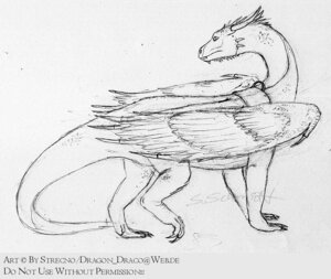 Rating: Safe Score: 0 Tags: black_and_white dragon e621 feathered_dragon feathered_scalie feathered_wings feathers female feral inheritance_cycle monochrome mount mythological_creature mythological_scalie mythology saddle saphira scalie sketch solo strecno tail wings User: bunchy7s Rating: Safe Score: 0 Tags: black_and_white dragon e621 feathered_dragon feathered_scalie feathered_wings feathers female feral inheritance_cycle monochrome mount mythological_creature mythological_scalie mythology saddle saphira scalie sketch solo strecno tail wings User: bunchy7s