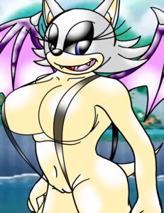 Rating: Explicit Score: 0 Tags: anthro bat breasts color dominatrix_lady_silver fangs female female_only fur furry pussy rouge_the_bat rule34 smile solo sonic_(series) standing tagme vulva wings User: bunchy7s