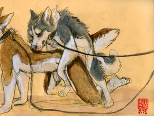 Rating: Explicit Score: 0 Tags: 2006 all_fours ambiguous_penetration anthro anthro_on_feral anthro_penetrated bdsm bestiality bondage bound breasts canid canine canis domestic_dog duo e621 female female_on_feral feral feral_penetrating feral_penetrating_anthro fur husky intraspecies intraspecies_bestiality java leash male male/female male_feral male_on_anthro mammal nordic_sled_dog penetration sarain sex side_view spitz spread_legs spreading tail white_body white_fur User: bunchy7s Rating: Explicit Score: 0 Tags: 2006 all_fours ambiguous_penetration anthro anthro_on_feral anthro_penetrated bdsm bestiality bondage bound breasts canid canine canis domestic_dog duo e621 female female_on_feral feral feral_penetrating feral_penetrating_anthro fur husky intraspecies intraspecies_bestiality java leash male male/female male_feral male_on_anthro mammal nordic_sled_dog penetration sarain sex side_view spitz spread_legs spreading tail white_body white_fur User: bunchy7s