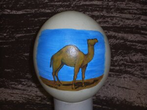 Rating: Safe Score: 0 Tags: 4:3 ambiguous_gender camel camelid dromedary e621 egg fatty_humps feral grandfathered_content hooves karja mammal mixed_media ostrich_egg painting_(artwork) photography_(artwork) real solo traditional_media_(artwork) unguligrade User: bunchy7s