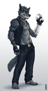 Rating: Safe Score: 0 Tags: anthro bottomwear canid canine canis clothing collar e621 ear_piercing heterochromia kannos male mammal pants piercing prosthetic prosthetic_arm prosthetic_limb simple_background smile solo tail white_background wolf User: bunchy7s