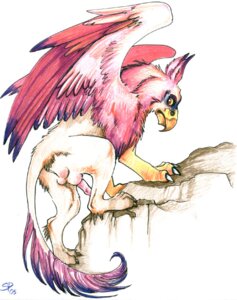 Rating: Explicit Score: 0 Tags: 2006 avian balls beak dated e621 erection feathered_wings feathers feral genitals gryphon male mythological_avian mythological_creature mythology penis quadruped signature simple_background skulldog_(artist) solo tail white_background wings User: bunchy7s Rating: Explicit Score: 0 Tags: 2006 avian balls beak dated e621 erection feathered_wings feathers feral genitals gryphon male mythological_avian mythological_creature mythology penis quadruped signature simple_background skulldog_(artist) solo tail white_background wings User: bunchy7s
