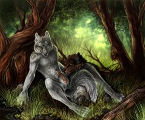 Rating: Explicit Score: 0 Tags: 2009 after_sex animal_genitalia animal_penis anthro balls blue_eyes bodily_fluids brown_body brown_fur canid canine canine_genitalia canine_penis claws cum cum_on_chest cum_on_penis cum_string detailed detailed_background detailed_fur duo e621 erection fellatio forest fur genital_fluids genitals grass grey_body grey_fur knot looking_at_viewer male male/male male_penetrated male_penetrating male_penetrating_male mammal nature nude oral orion_(orion) outside penetration penile penis plant rukis saliva sex smile tail tree white_body white_fur wood yellow_eyes User: bunchy7s