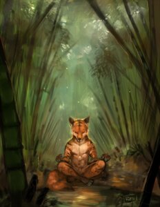 Rating: Safe Score: 0 Tags: 2014 anthro canid canine crosslegged_pose detailed_background e621 felid forest fox hi_res hybrid male mammal meditation nature nude outside pantherine plant rhyu solo tiger tree User: bunchy7s