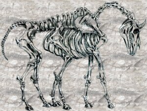 Rating: Safe Score: 0 Tags: ambiguous_gender black_and_white bone e621 equid feral hooves hose mammal miyukitty monochrome multi_leg multi_limb skeleton skull solo tail User: bunchy7s Rating: Safe Score: 0 Tags: ambiguous_gender black_and_white bone e621 equid feral hooves hose mammal miyukitty monochrome multi_leg multi_limb skeleton skull solo tail User: bunchy7s