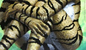 Rating: Questionable Score: 0 Tags: 2006 anthro biped countershade_legs countershade_tail countershade_torso countershading e621 felid female fur karol_pawlinski mammal nude pantherine sitting solo striped_body striped_fur stripes tail tiger torso_shot white_body white_countershading User: bunchy7s Rating: Questionable Score: 0 Tags: 2006 anthro biped countershade_legs countershade_tail countershade_torso countershading e621 felid female fur karol_pawlinski mammal nude pantherine sitting solo striped_body striped_fur stripes tail tiger torso_shot white_body white_countershading User: bunchy7s